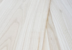 無醛不再是南柯一夢——無醛級桐木茄子视频APP免费版网站來了