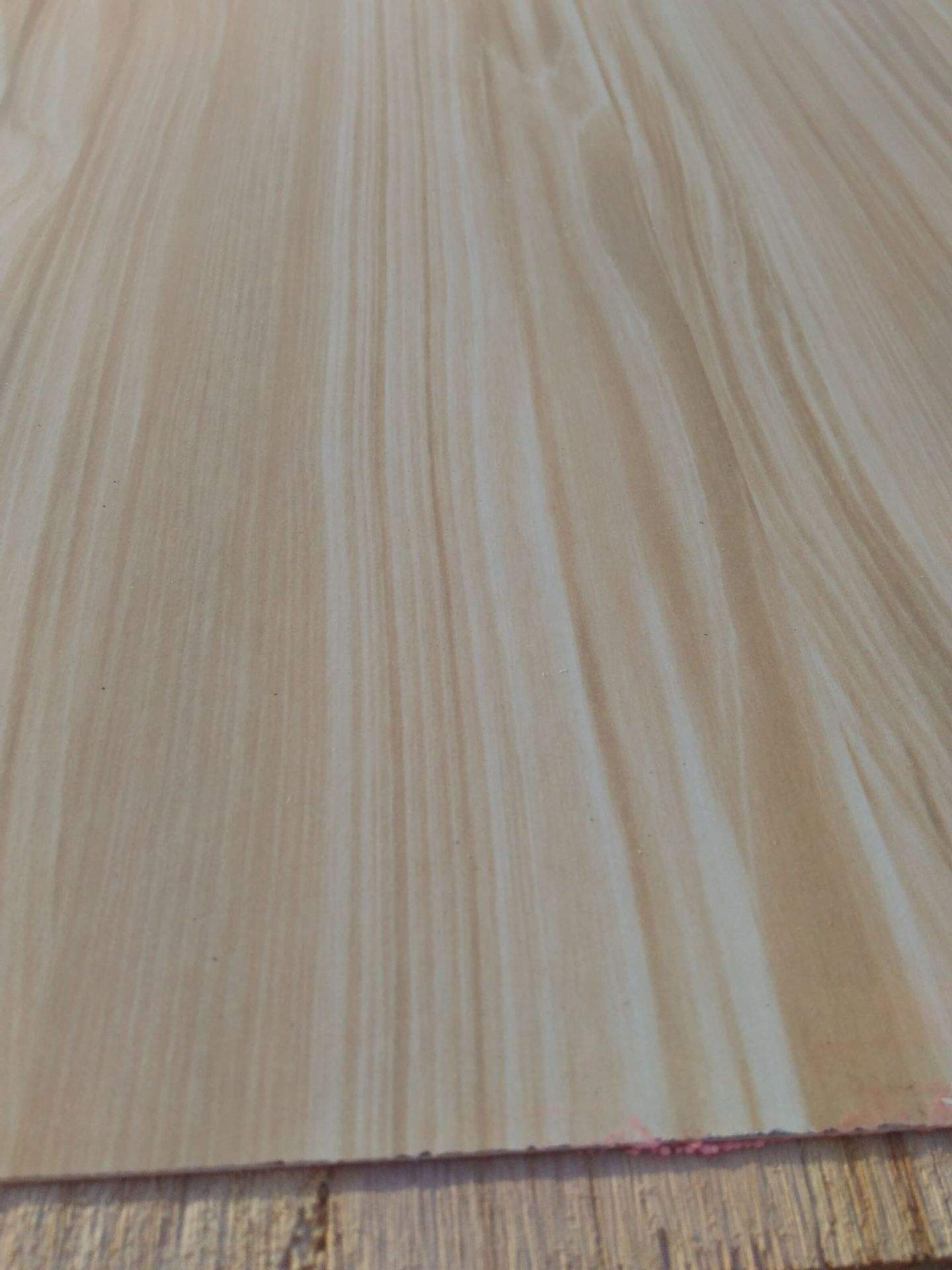 桐木茄子视频APP免费版网站