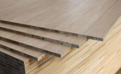 桐木茄子视频APP免费版网站